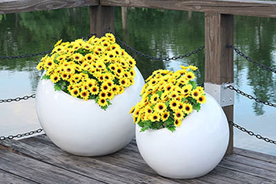 玻璃钢圆形花盆定制