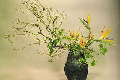 空间风格与花艺